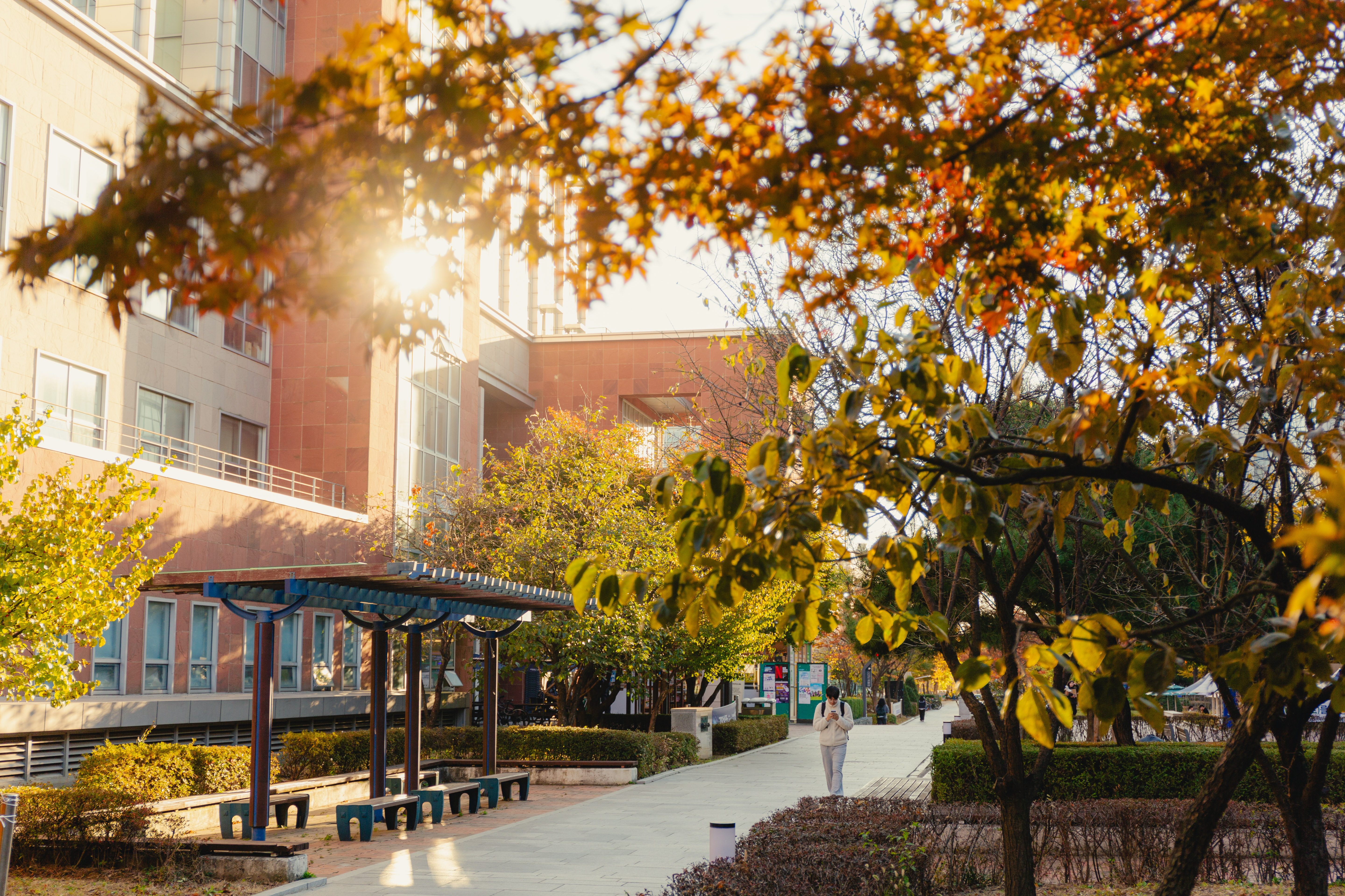 241115 인천대가을-22.jpg