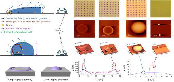 Implementation of an Inkjet Print-Based Ultra-Small Zinc Oxide Microdot Array (Possible for Nanoprin 대표이미지